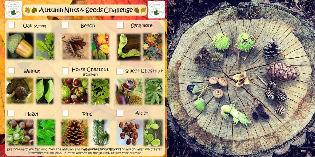 Nuts-Seeds-Challenge