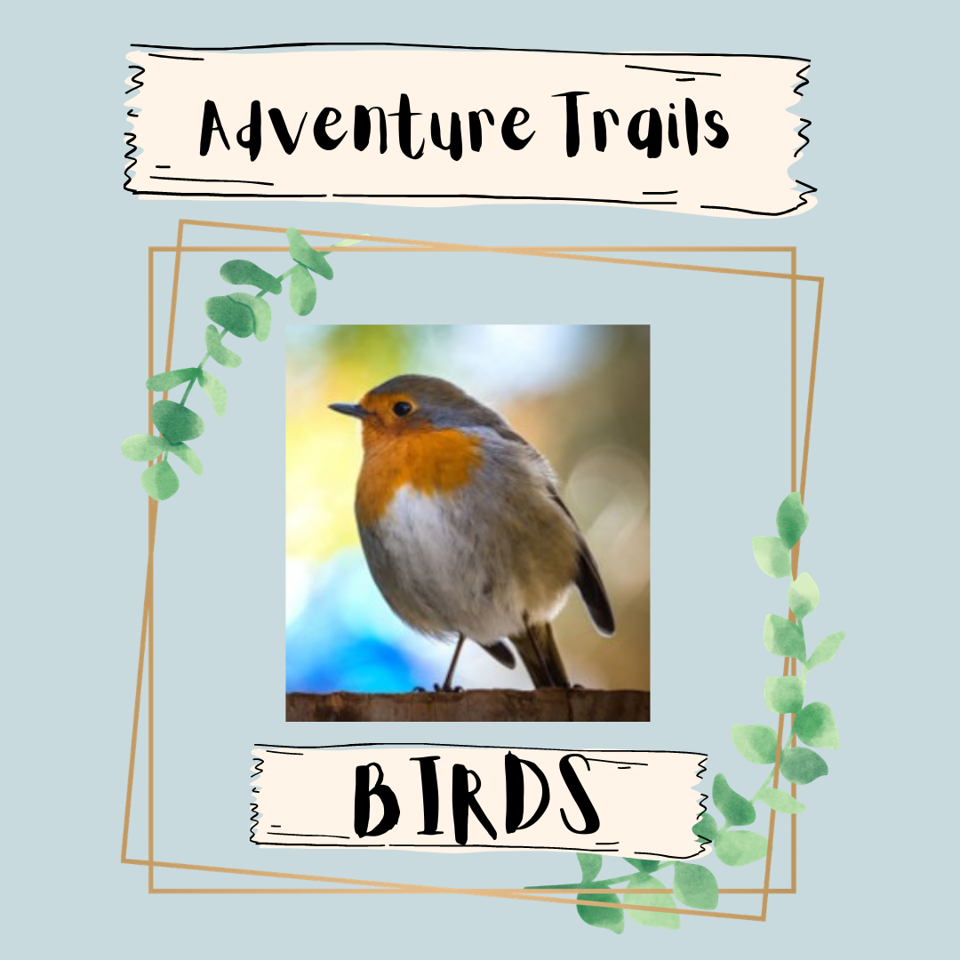 Adventure Trails - Birds Cover